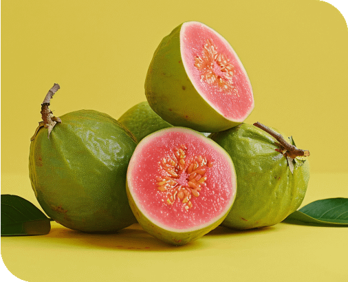 guava circle image